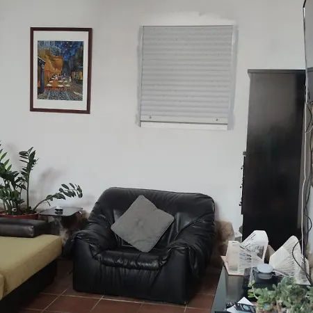 ホームステイ Casa El Drago-tafira Baja *