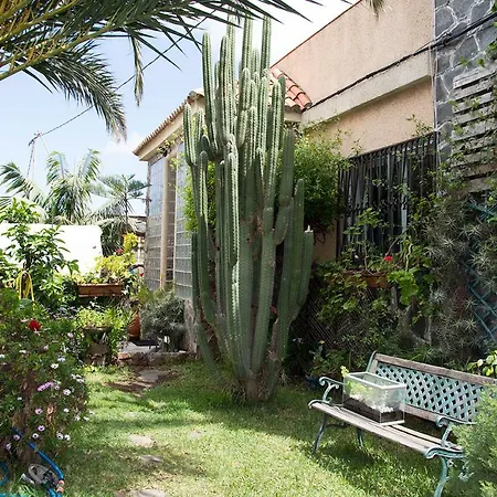ホームステイ Casa El Drago-tafira Baja *