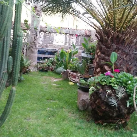 Casa El Drago-tafira Baja Homestay szállás Las Palmas de Gran Canaria