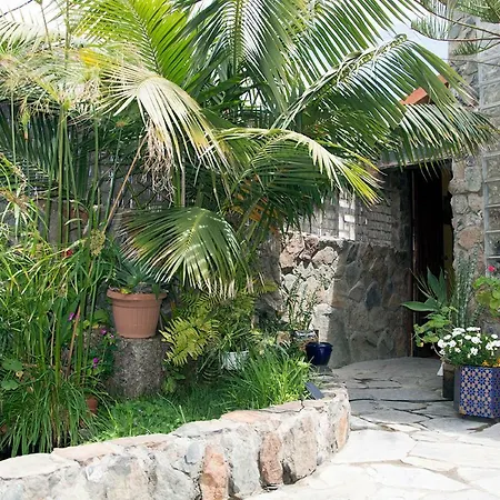 Homestay szállás Casa El Drago-tafira Baja